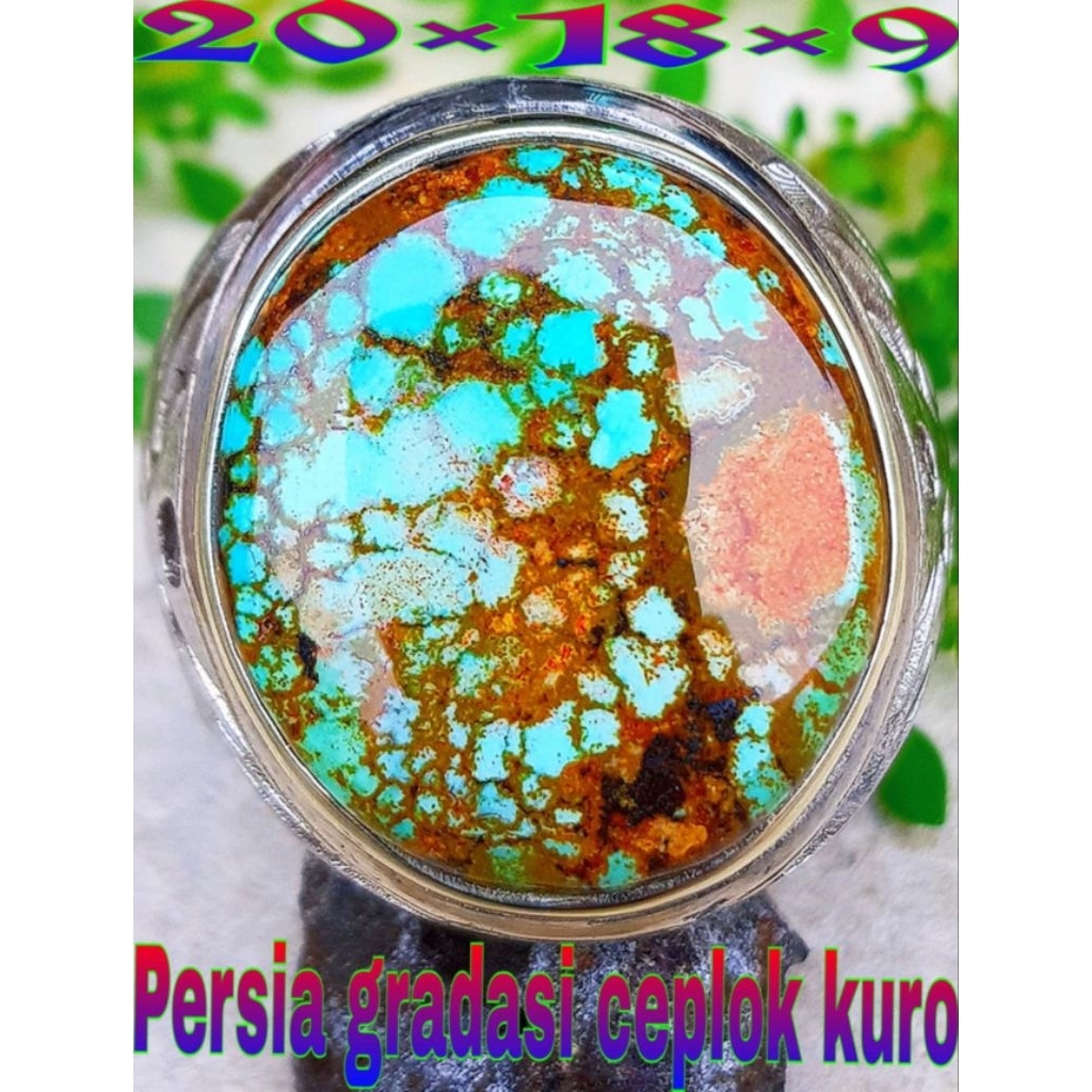 Pirus Persia Natural Gradasi Ceplok Kuro