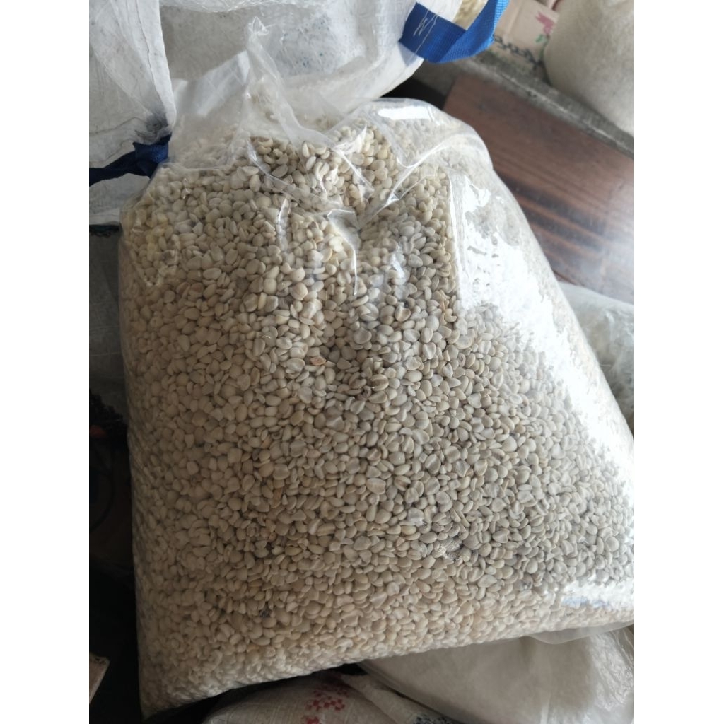 

Jali jali Aceh/lokal/pearl barley