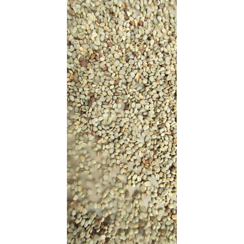 

Biji kopi robusta gayo