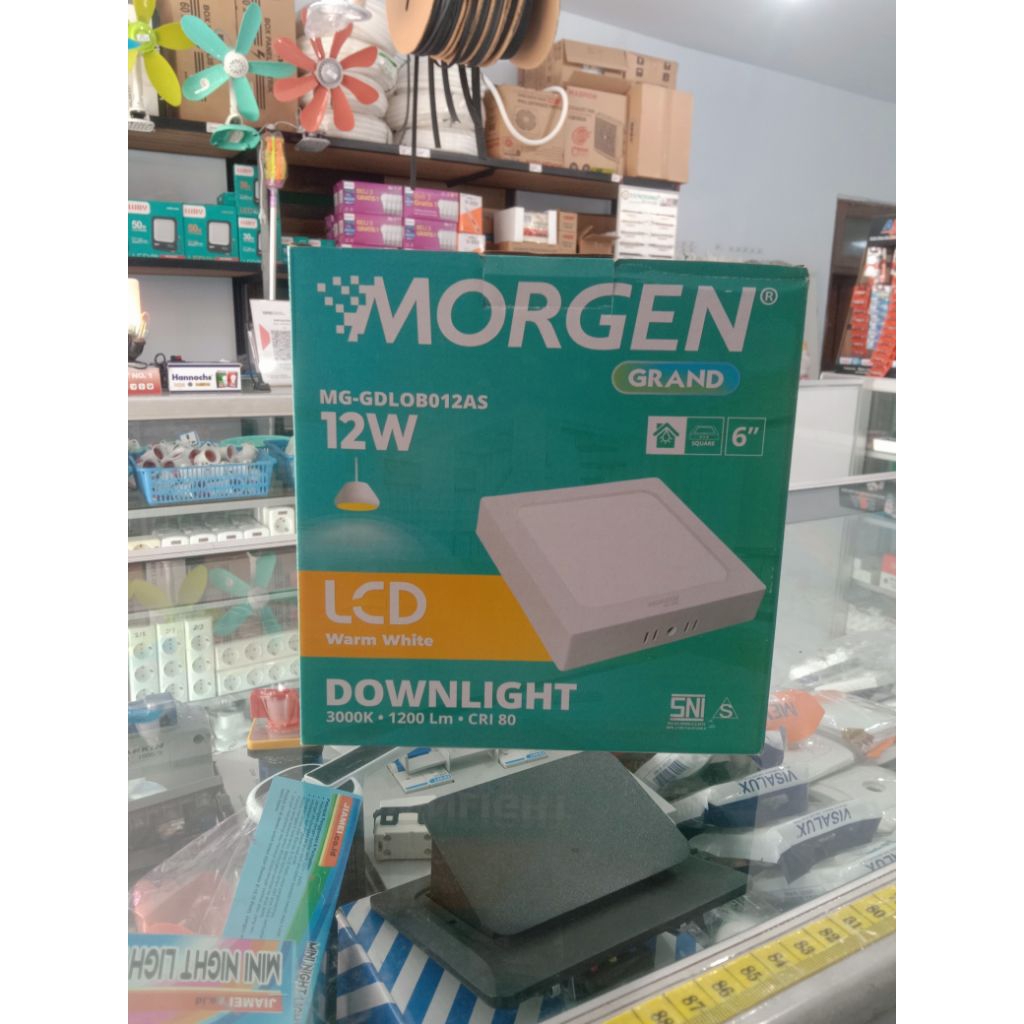 DOWNLIGHT MORGEN 12 WATT WARM WHITE