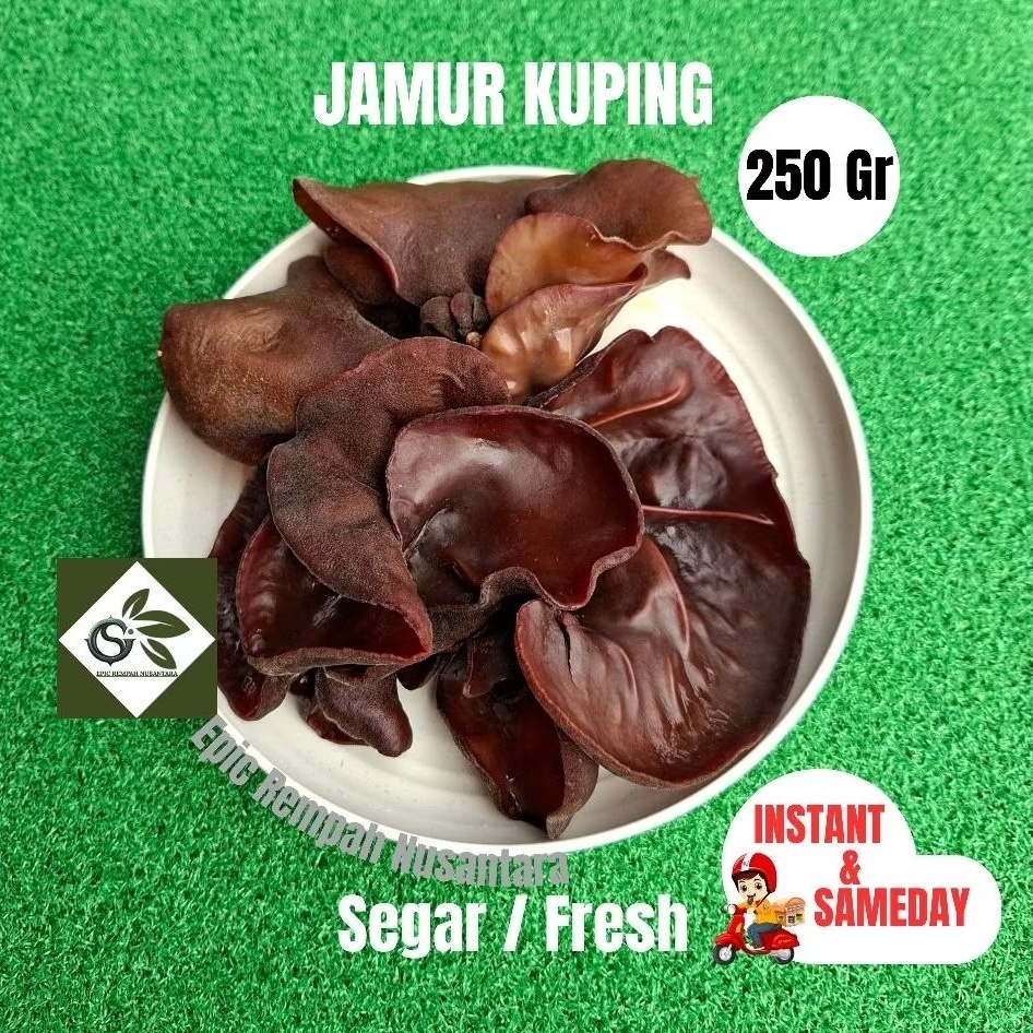 

Instant - Jamur Kuping Segar 250gr 100gr Fresh Hitam Super Grade A Sameday Tekwan sup soto