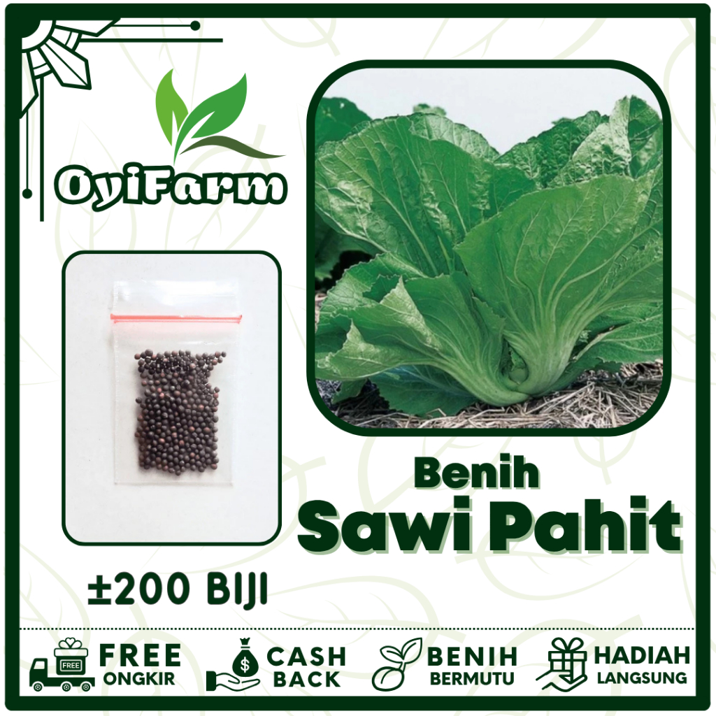 Benih Sawi Pahit Sayuran Unggul - Bibit Sayur