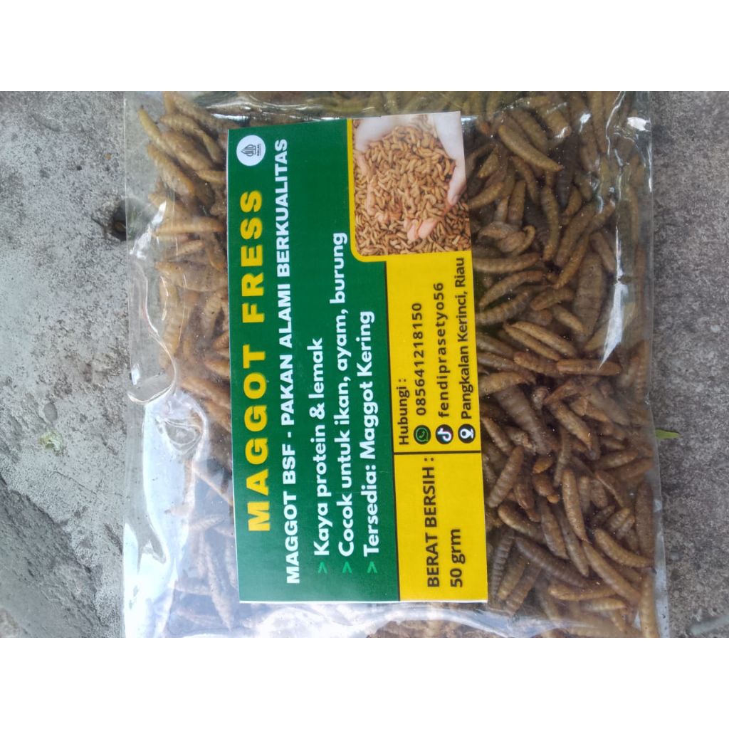 Maggot kering murah dan berkualitas 100gram
