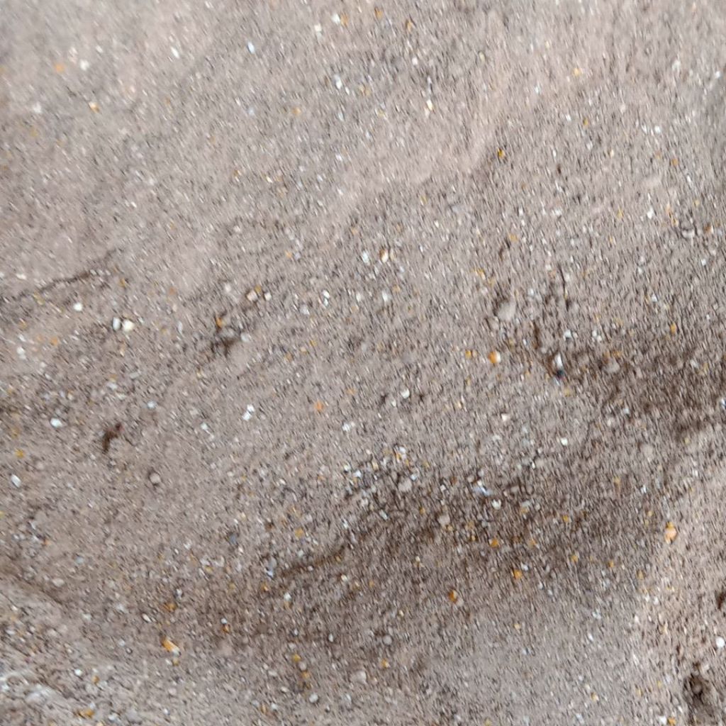 Kosentrat ayam petelur