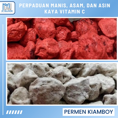 

Manisan Asinan Buah Plum Kiamboy Kering Merah Putih 100 Gram