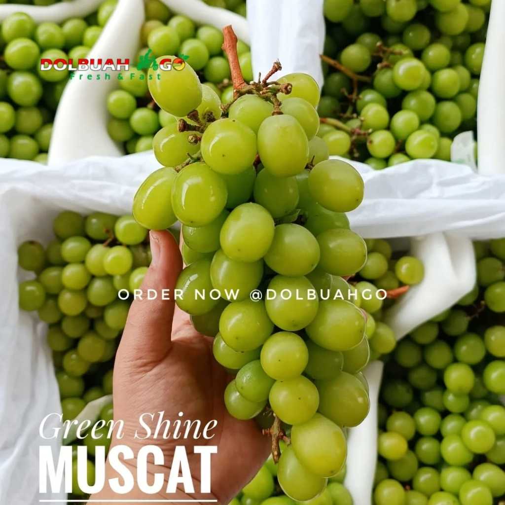 

Anggur Hijau Green Shine Muscat Premium Manis Tanpa Biji Fresh - Dolbuah