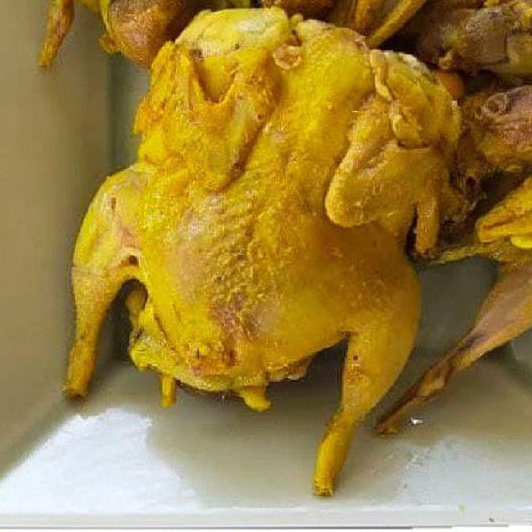 

Puyuh Ungkep Bumbu Kuning Siap Goreng – Daging Empuk & Gurih | Frozen Food Praktis