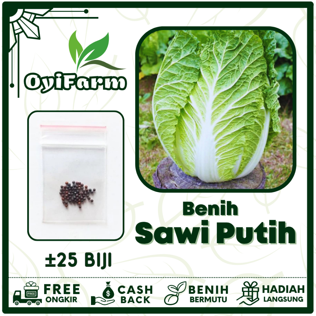 Bibit Benih Sawi Putih Unggul Mudah Tumbuh - Bibit Sayuran