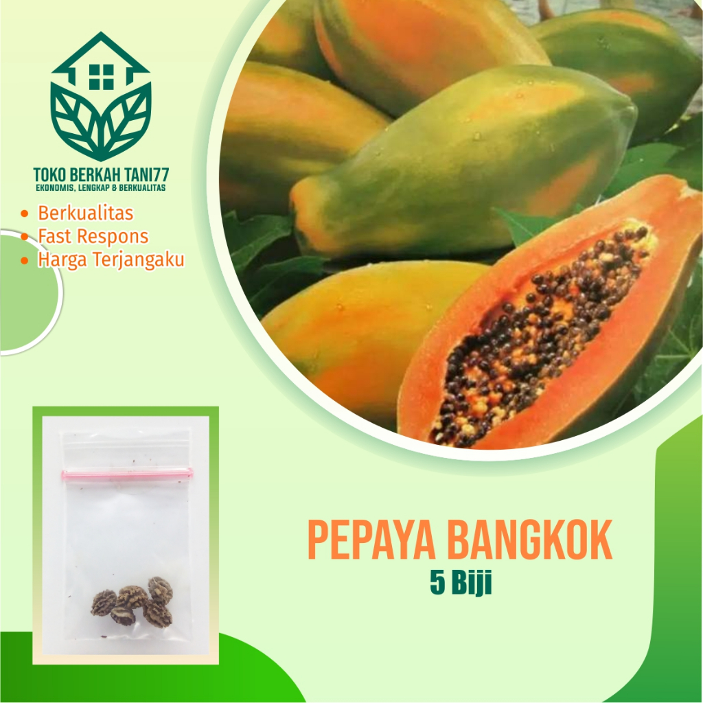 Benih Buah Pepaya Bangkok Bibit Buah Pepaya Bangkok Benih Buah-buahan Berkualitas