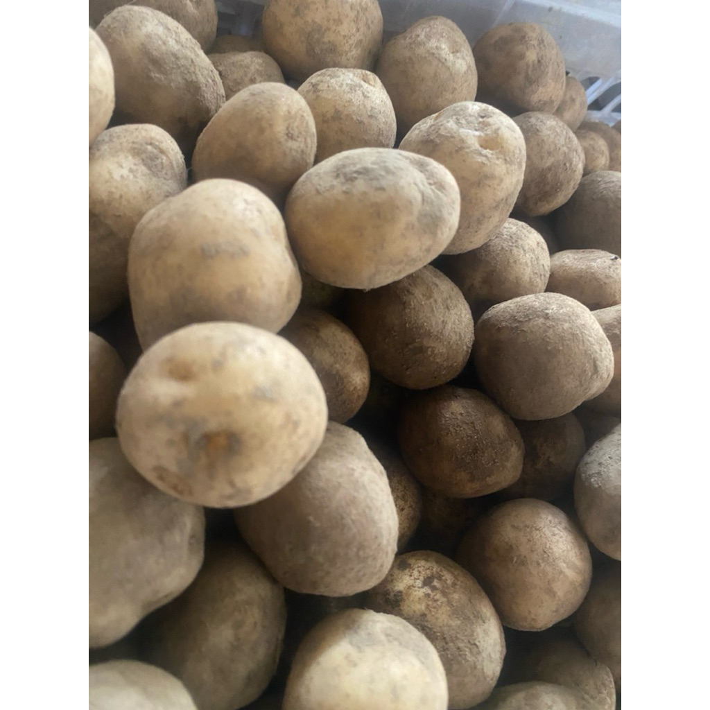 

kentang mini kentang baby 1 kg segar