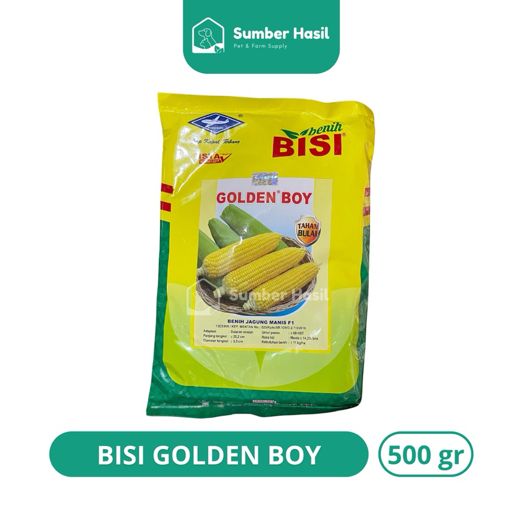 BENIH JAGUNG MANIS GOLDEN BOY 500GRAM BIBIT JAGUNG MANIS BISI ORIGINAL