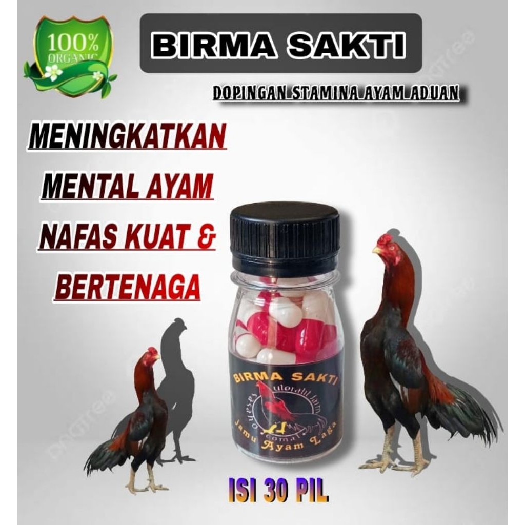 BIRMA LAGA SAKTI DOPING AYAM ADUAN nafas kuat tidak mudah cape ISI 30 KAPSUL EXTRA JP MASTER LAGA JA