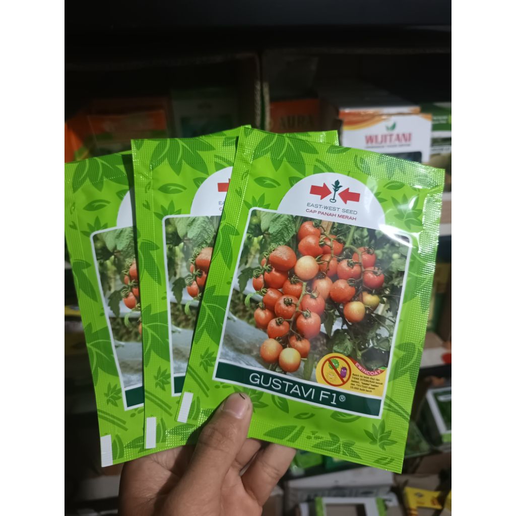 Benih Tomat GUSTAVI F1 – Panah Merah | Hibrida Unggul, Buah Lebat & Merah Cerah