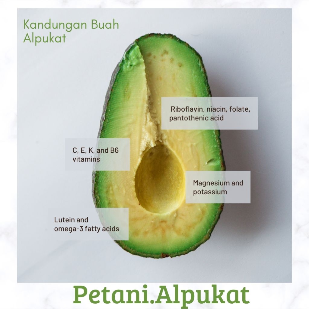 

ALPUKAT MENTEGA PAKET HEMAT 3KG LEBIH MURAH 1KG ISI 4-5