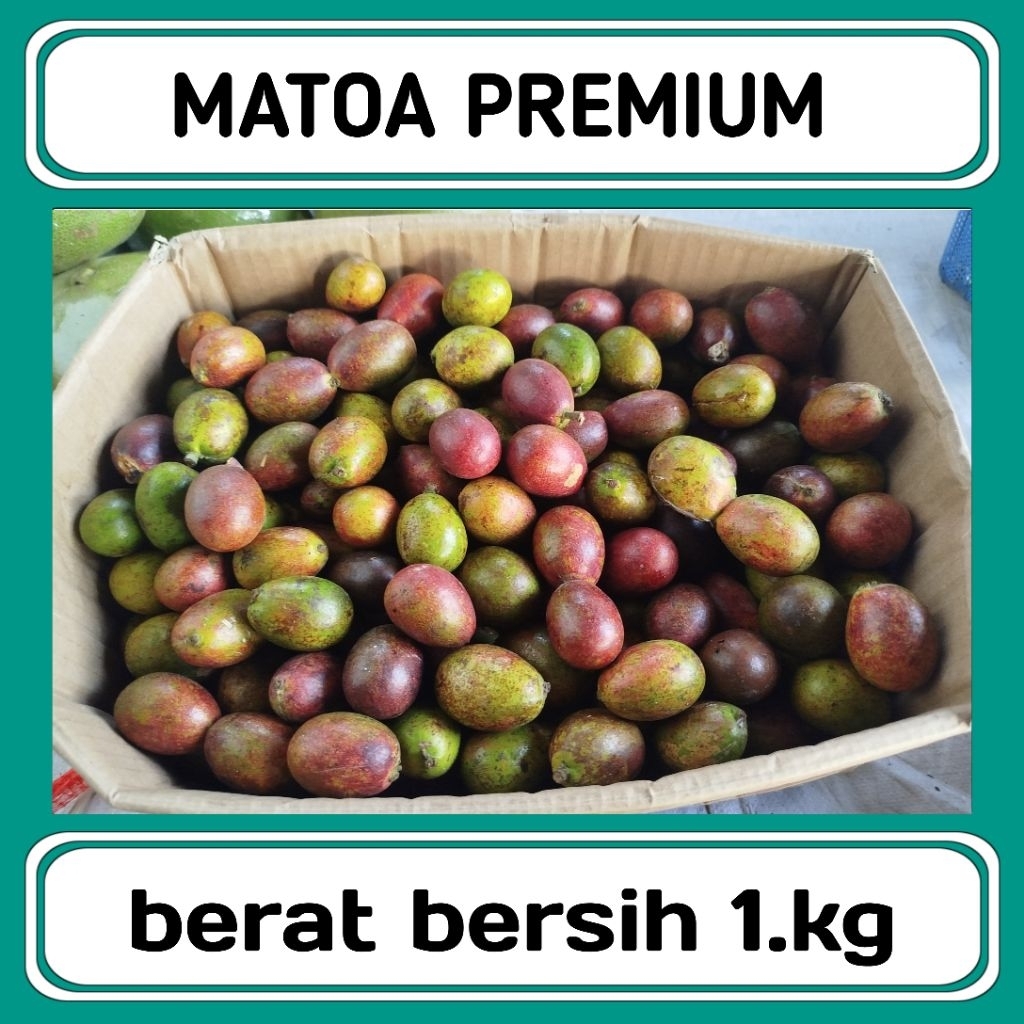 

MATOA PREMIUM 1KG