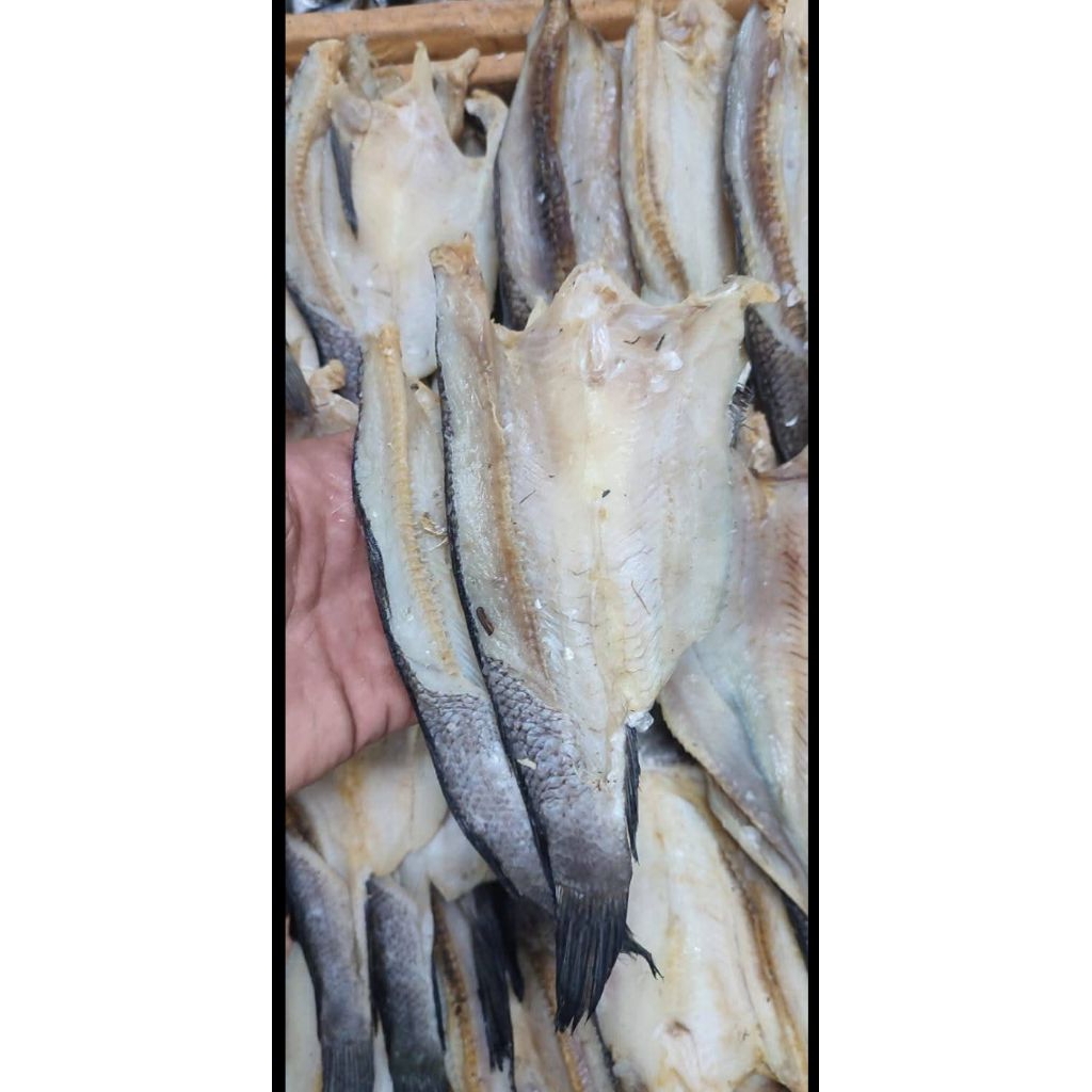

Ikan Asin Gabus Khas Lampung 1 KG