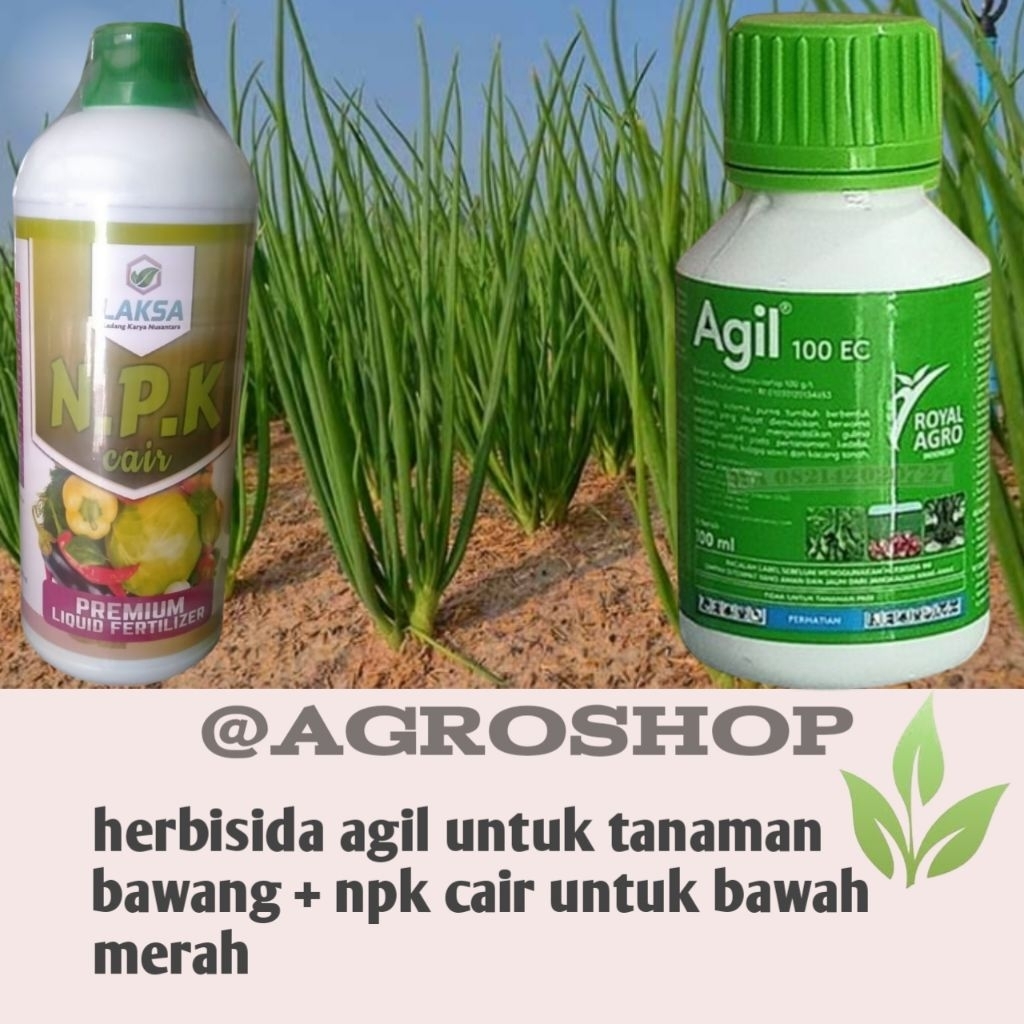 BISA COD PAKET UNTUK TANAMAN BAWANG MERAH HERBISIDA AGIL 100ML +NPK CAIR 1LITER