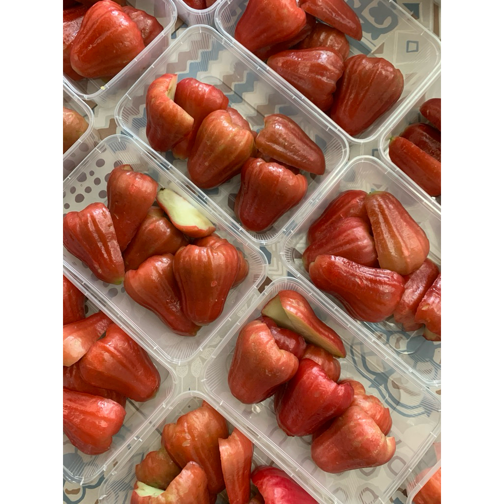 

Rujak Uleg Rujak Bangkok Jambu Air Citra Manis 300gram