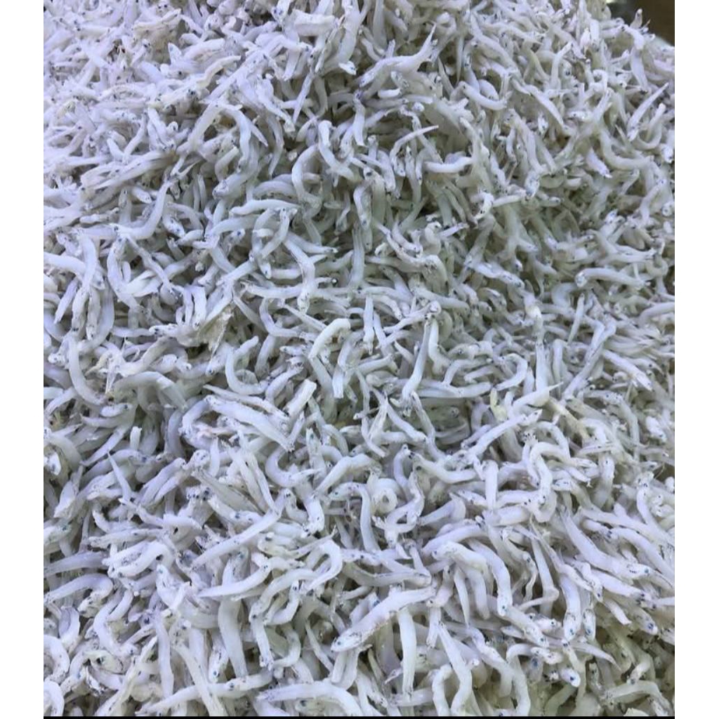 

Ikan Teri Nasi / Medan 500 Gram