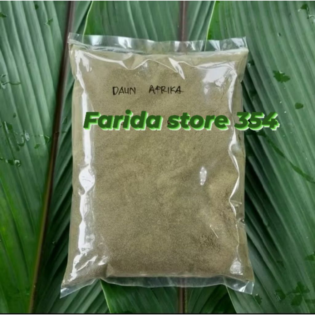 

daun afrika segar 50lembar/bubuk daun afrika murni/daun afrika kering kualitas bagus