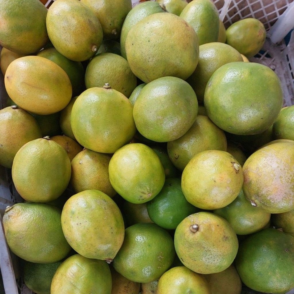 

lemon lokal banyak air 400 gram