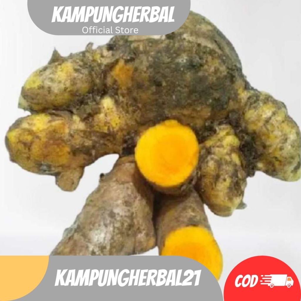 

TEMULAWAK SEGAR ORGANIK 1KG FRESH ORGANIC TERMURAH BERKUALITAS dan promo cod