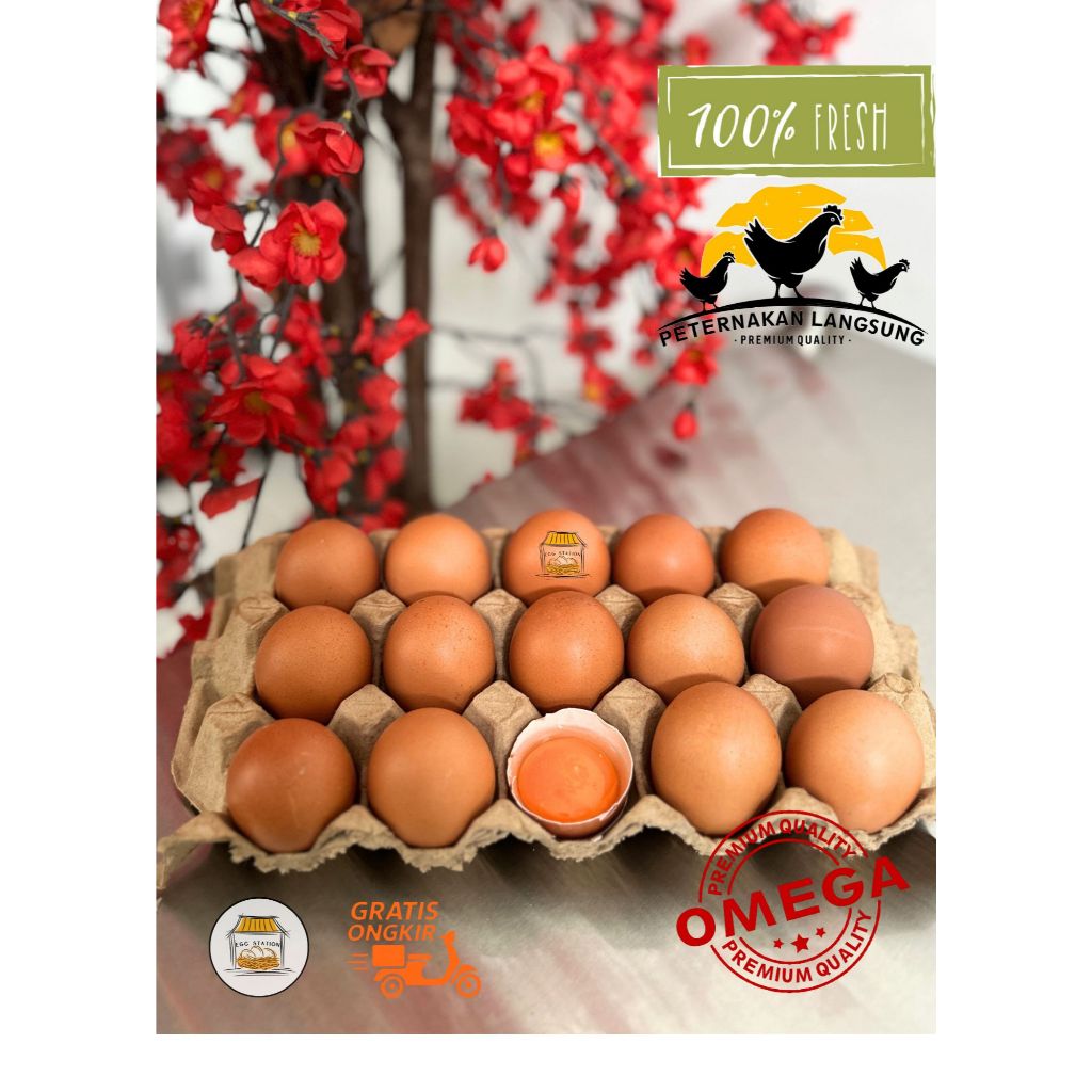 

Telur Ayam Negeri OMEGA 3 - 15 butir FRESH Grade A Bersih Kualitas Terbaik