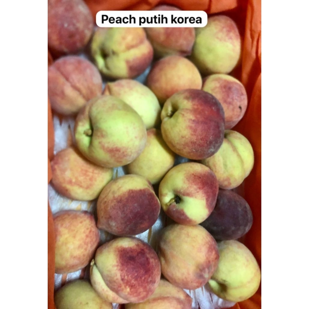 

peach putih korea / kg
