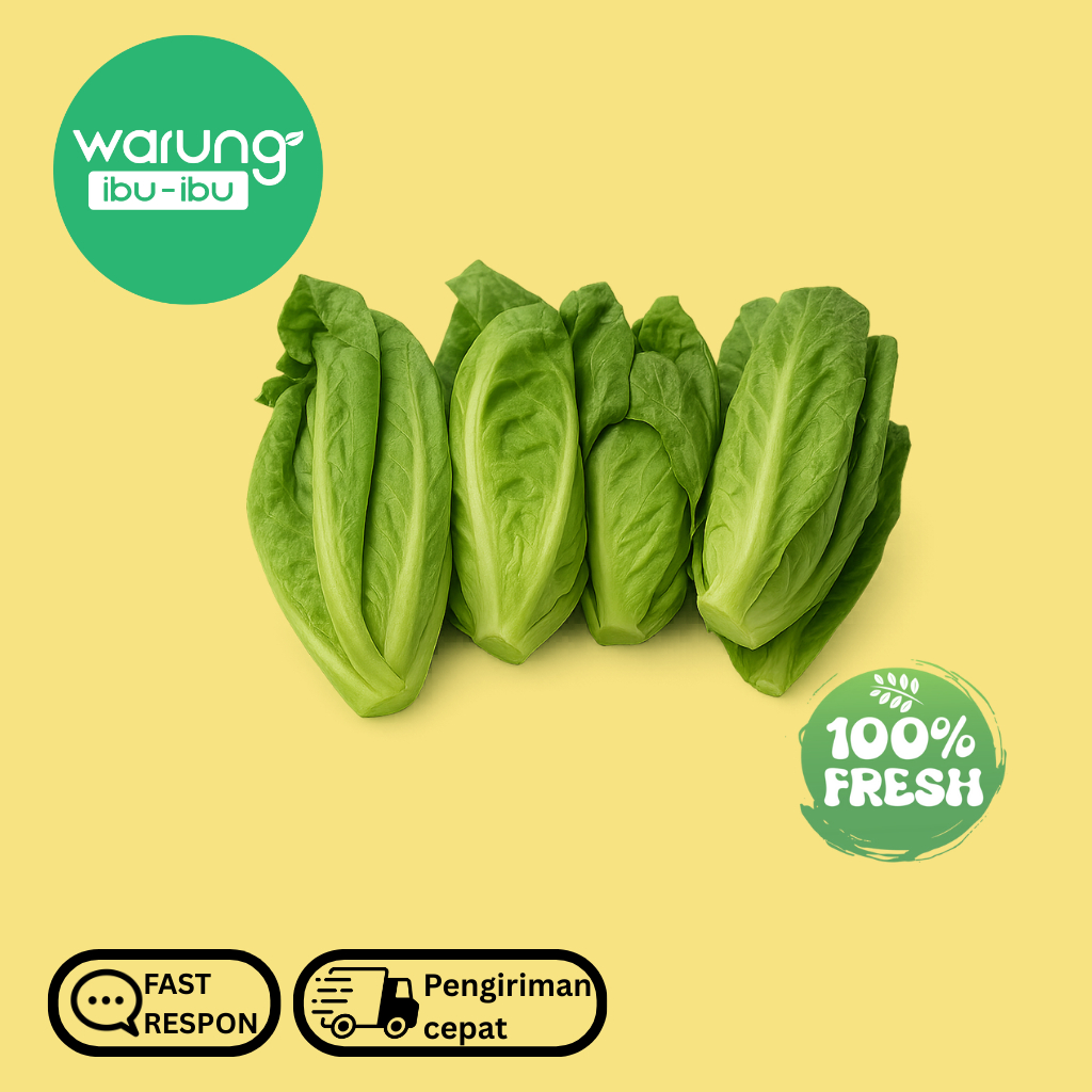 

Keciwis | Ceciwis | Cuciwis Segar