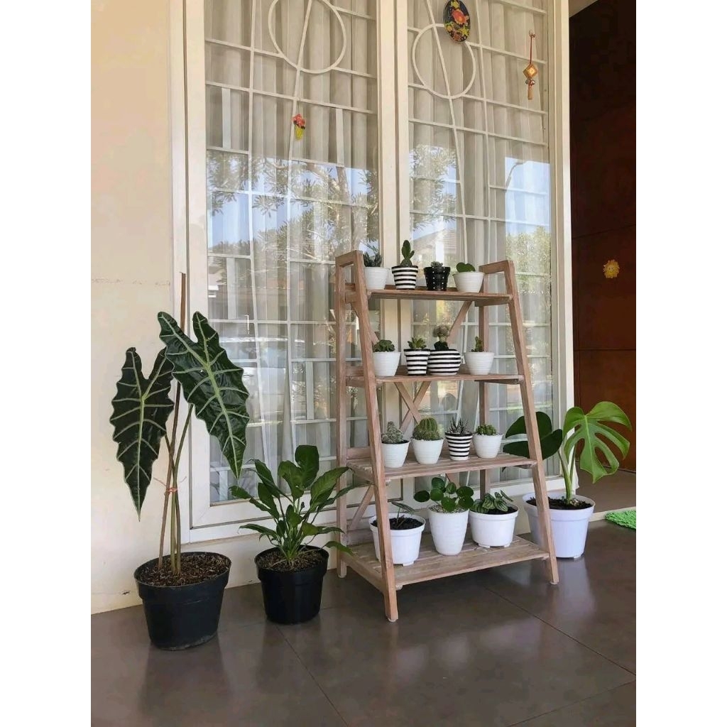 Rak Pot Tanaman Kayu 4 Tingkat - Model Tangga Minimalis Rustic
