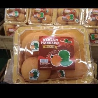 

Buah jeruk wogan Mandarin seedles manis tanpa biji pack