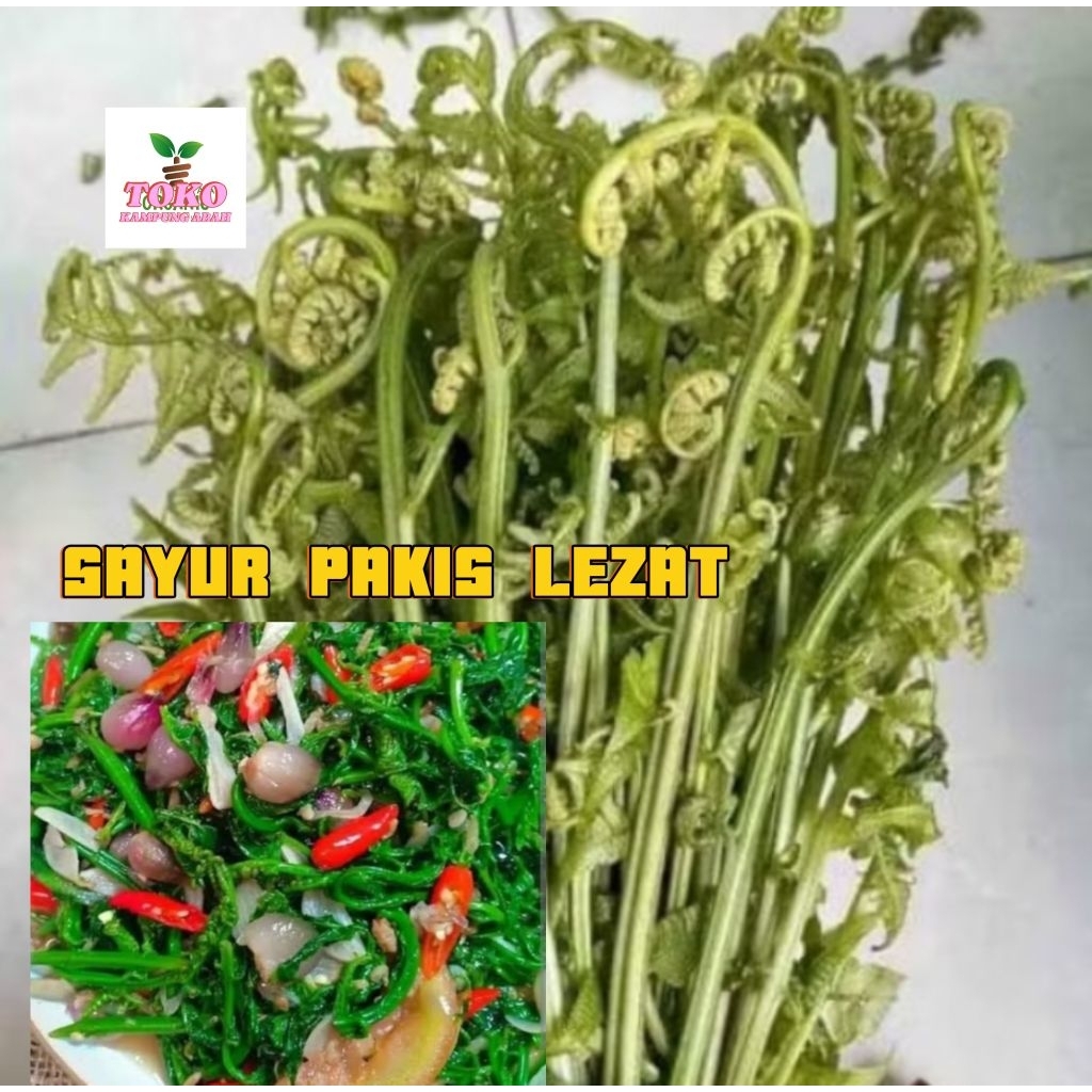 

pakis sayur segar lezat 250 grm