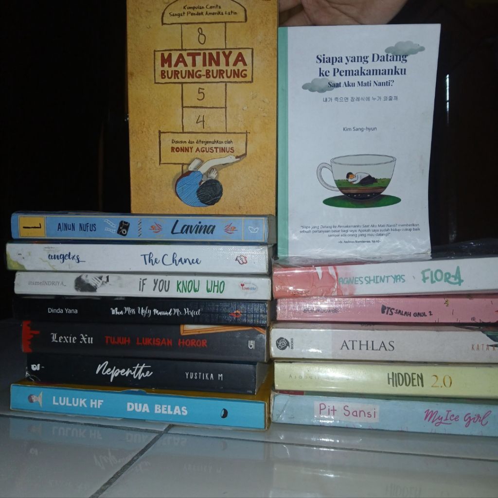 OBRAL PRELOVED NOVEL LAVINA HIDDEN 2.0 12 CERITA GLEN ANGGARA IF YOU KNOW WHO MY ICE GIRL MATINYA BU