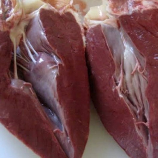 

JANTUNG SAPI BEKU 1 KG