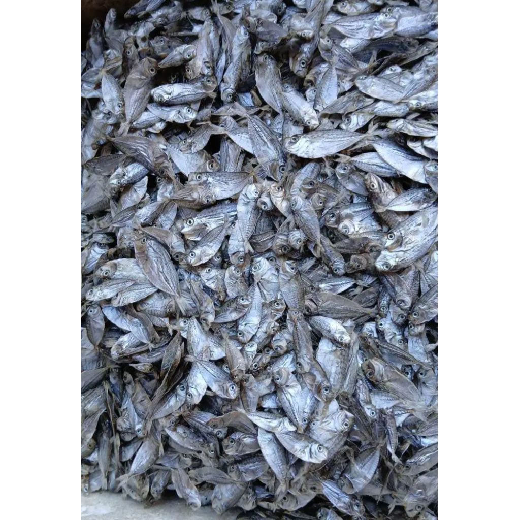

Ikan Asin Rebus Petek Bondolan 1 KG