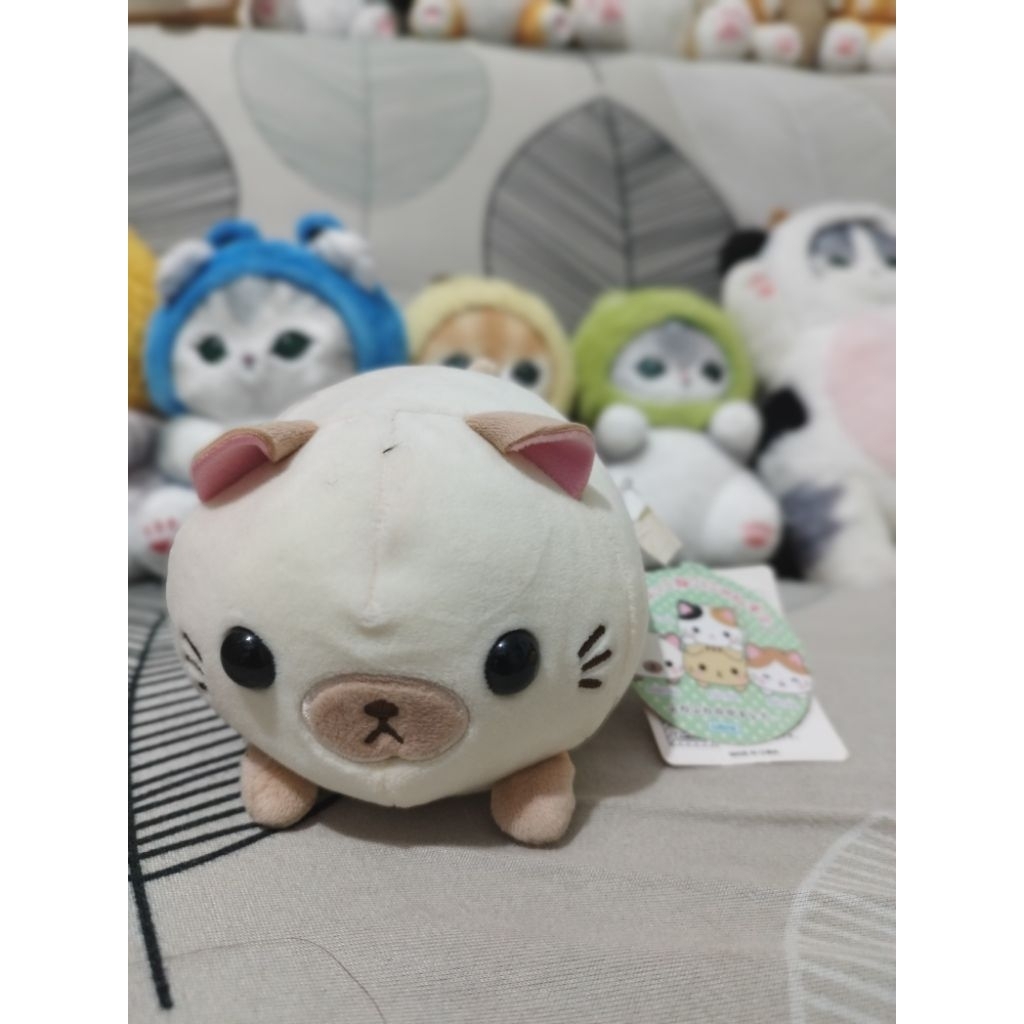 kucing amuse new tag ori