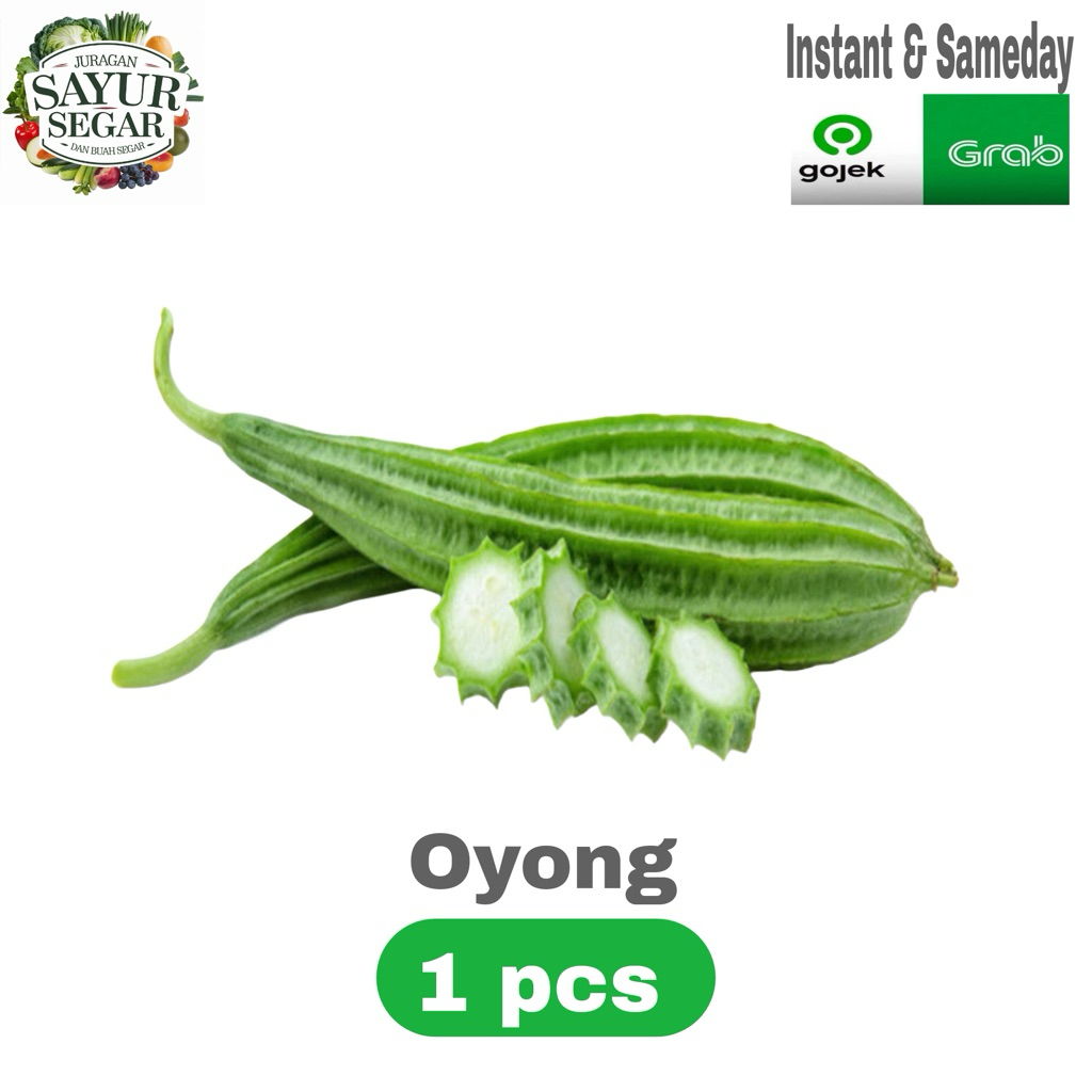 

Oyong/gambas panjang 1 pcs INSTANT