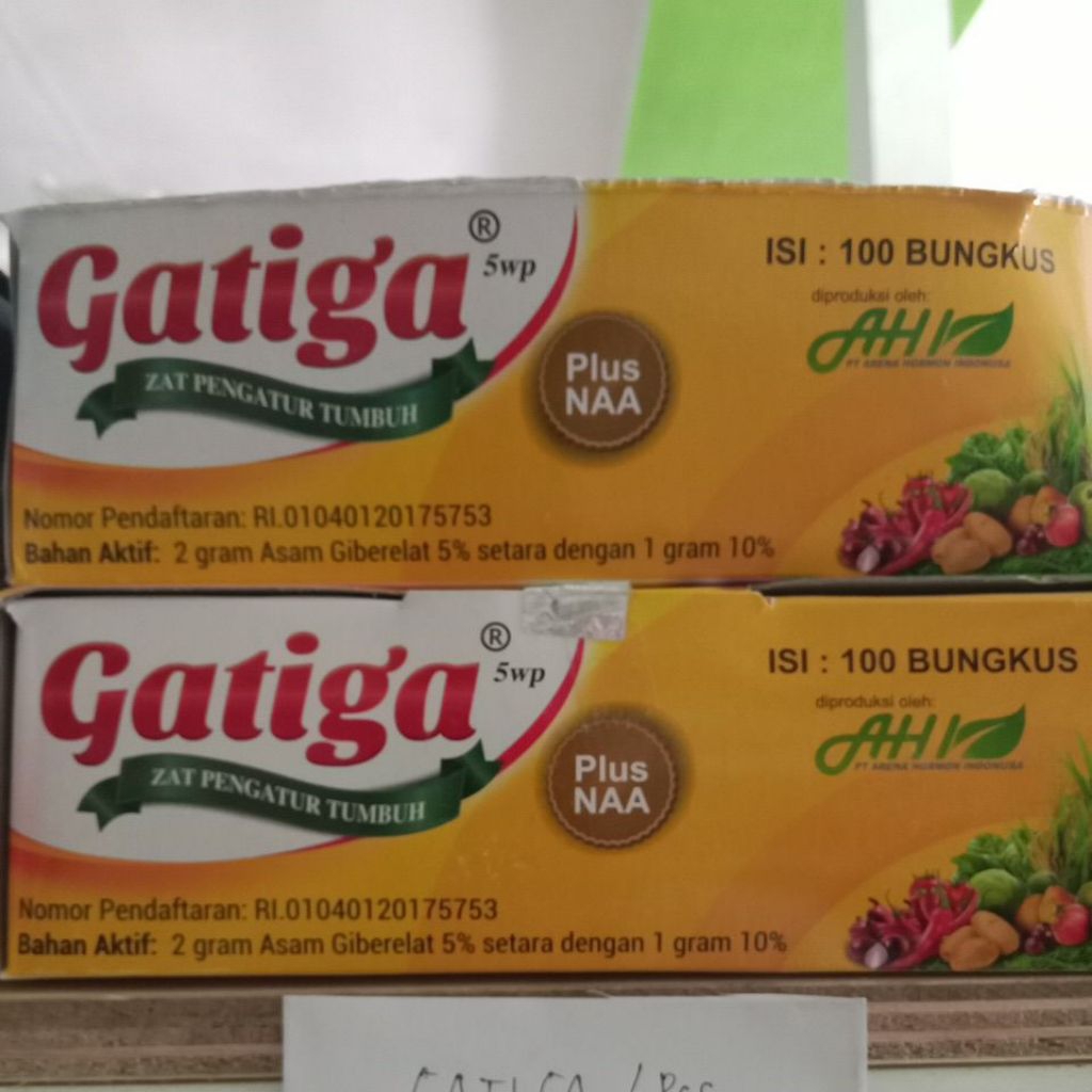 Gatiga 5WP