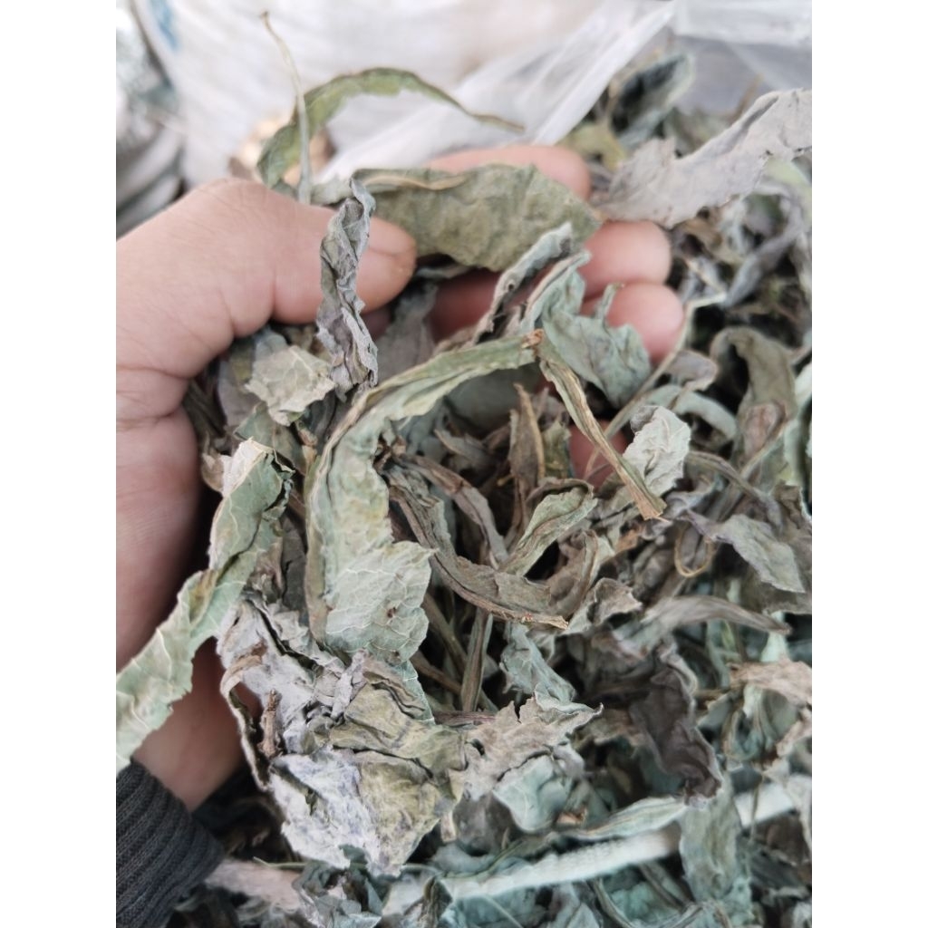 

daun tempuyung kering 500gram