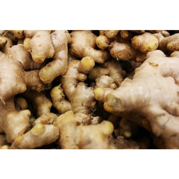 

JAHE UTUH BESAR BESAR SEGAR FRESH