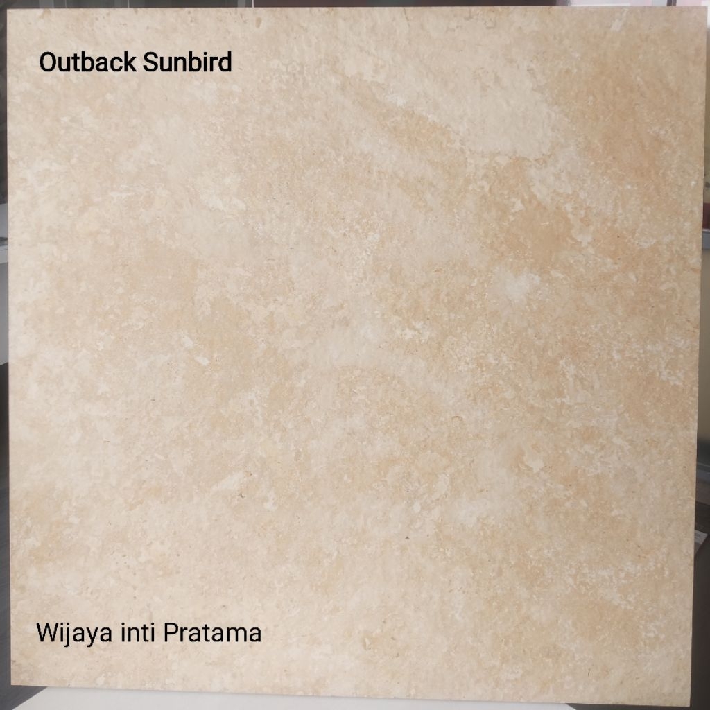 Granit tile Artile Outback Sunbird 60x60 Rustic