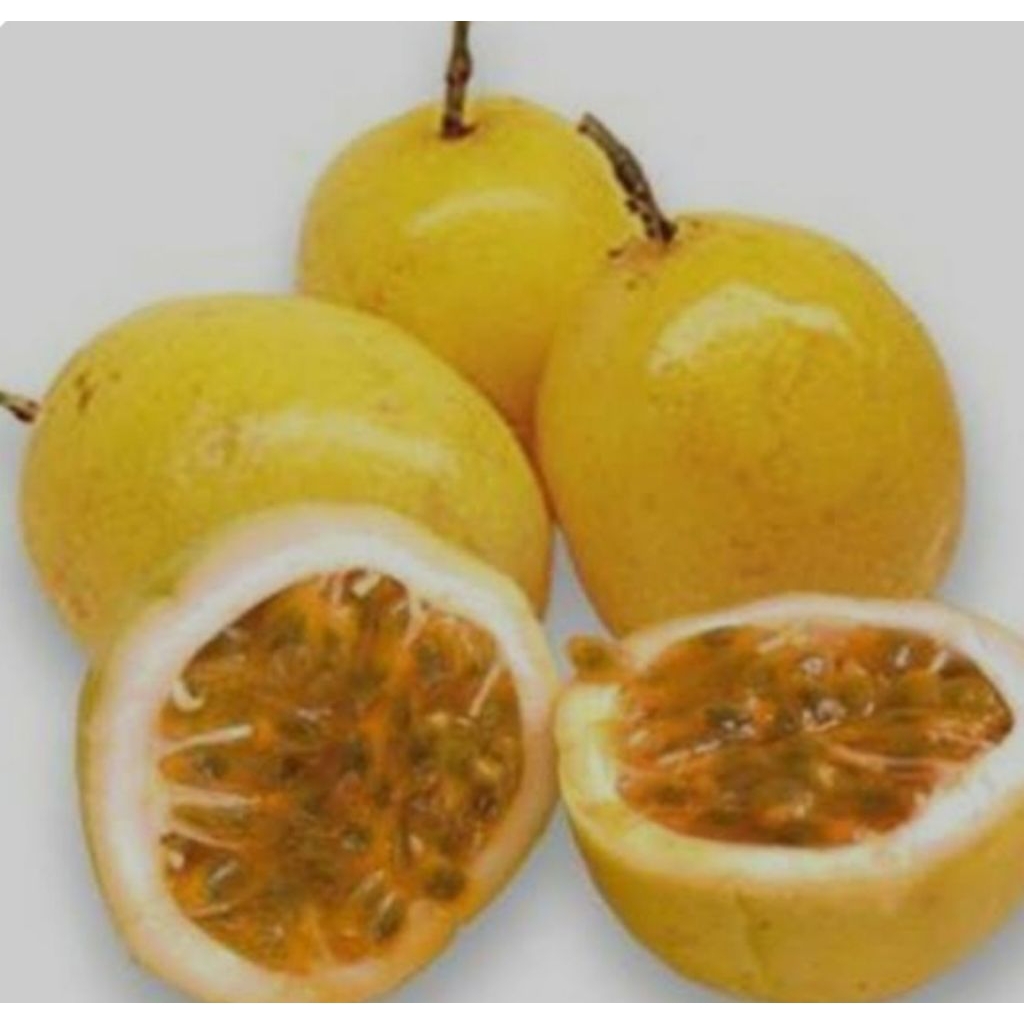 

BUAH MARKISA KUNING SEGAR per kg