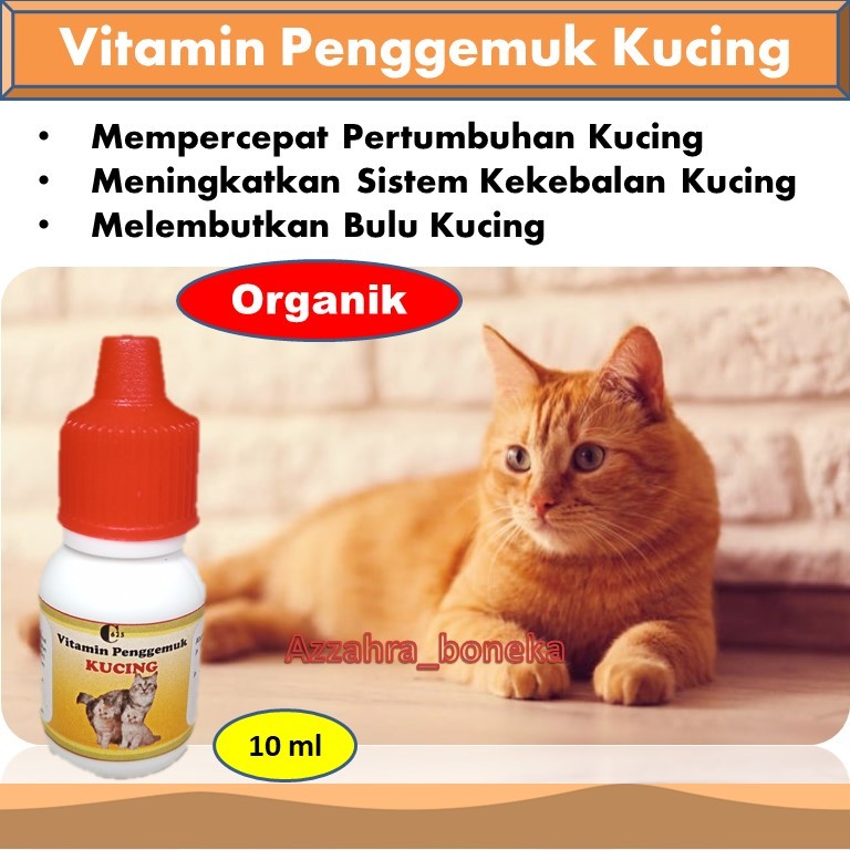 Vitamin Penggemuk Kucing C625 / Vitamin Kucing Gemuk Dan Bulu Lebat / Vitamin Kucing Penafsu Makan