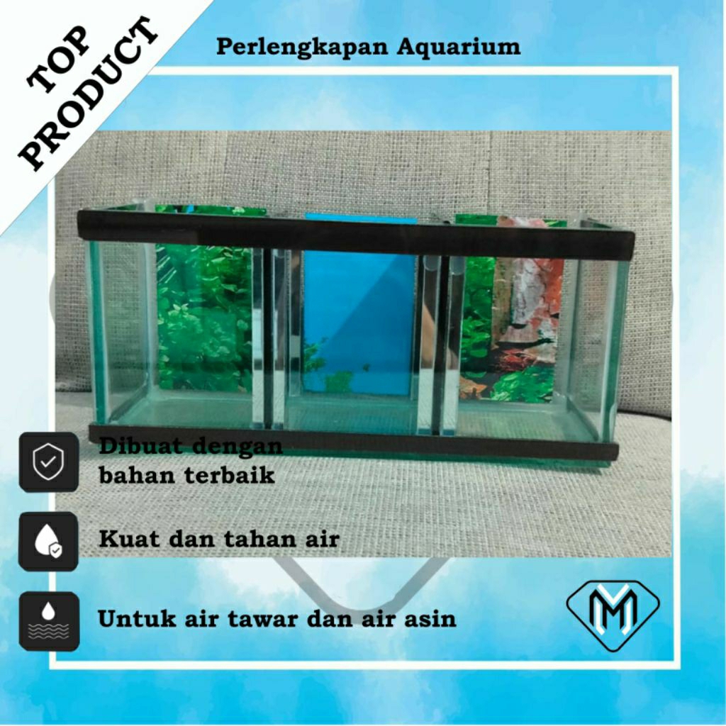 AQUARIUM AQUASCAPE MINIMALIS / AQUARIUM KACA MURAH / AQUARIUM IKAN MINI