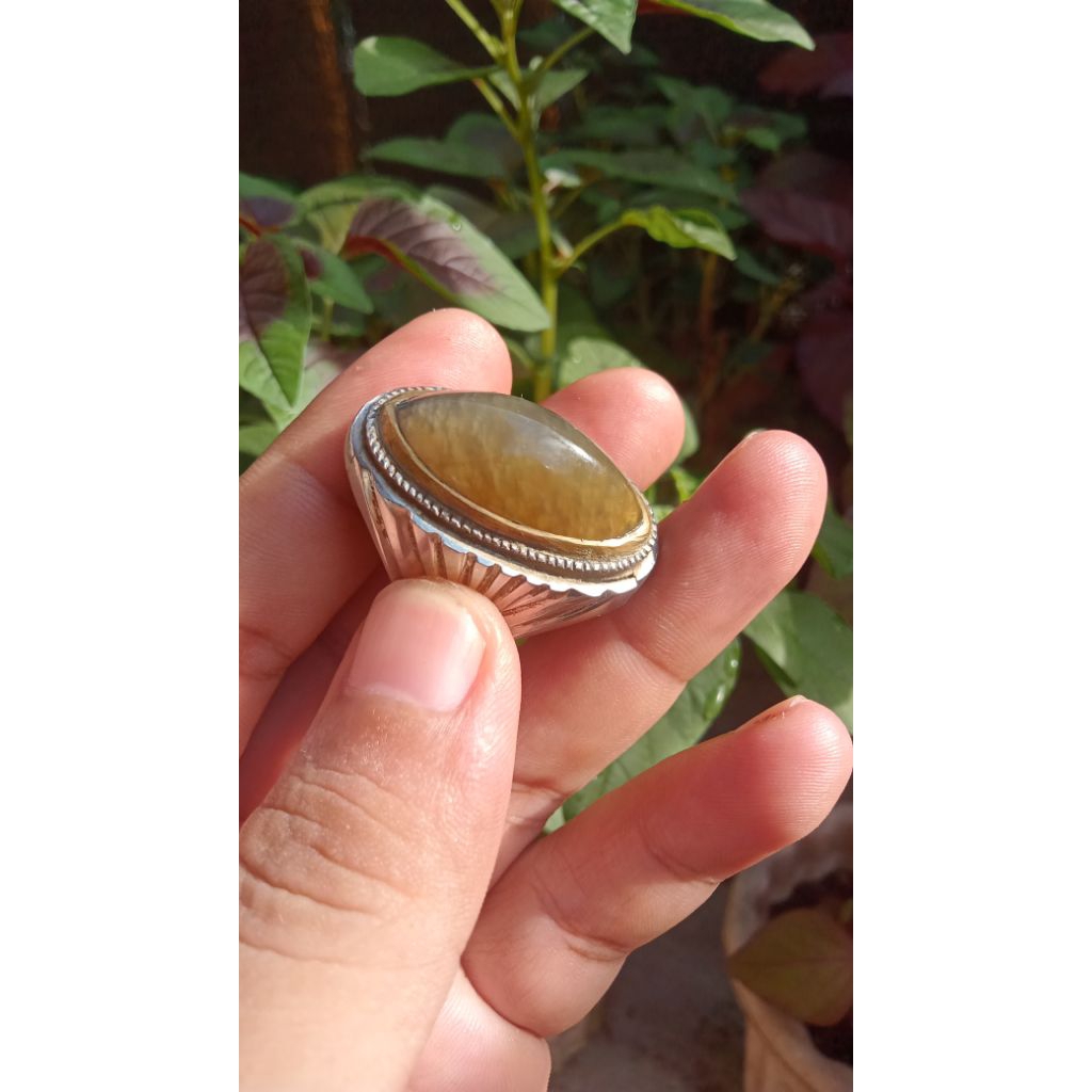 batu akik pandan nasmut