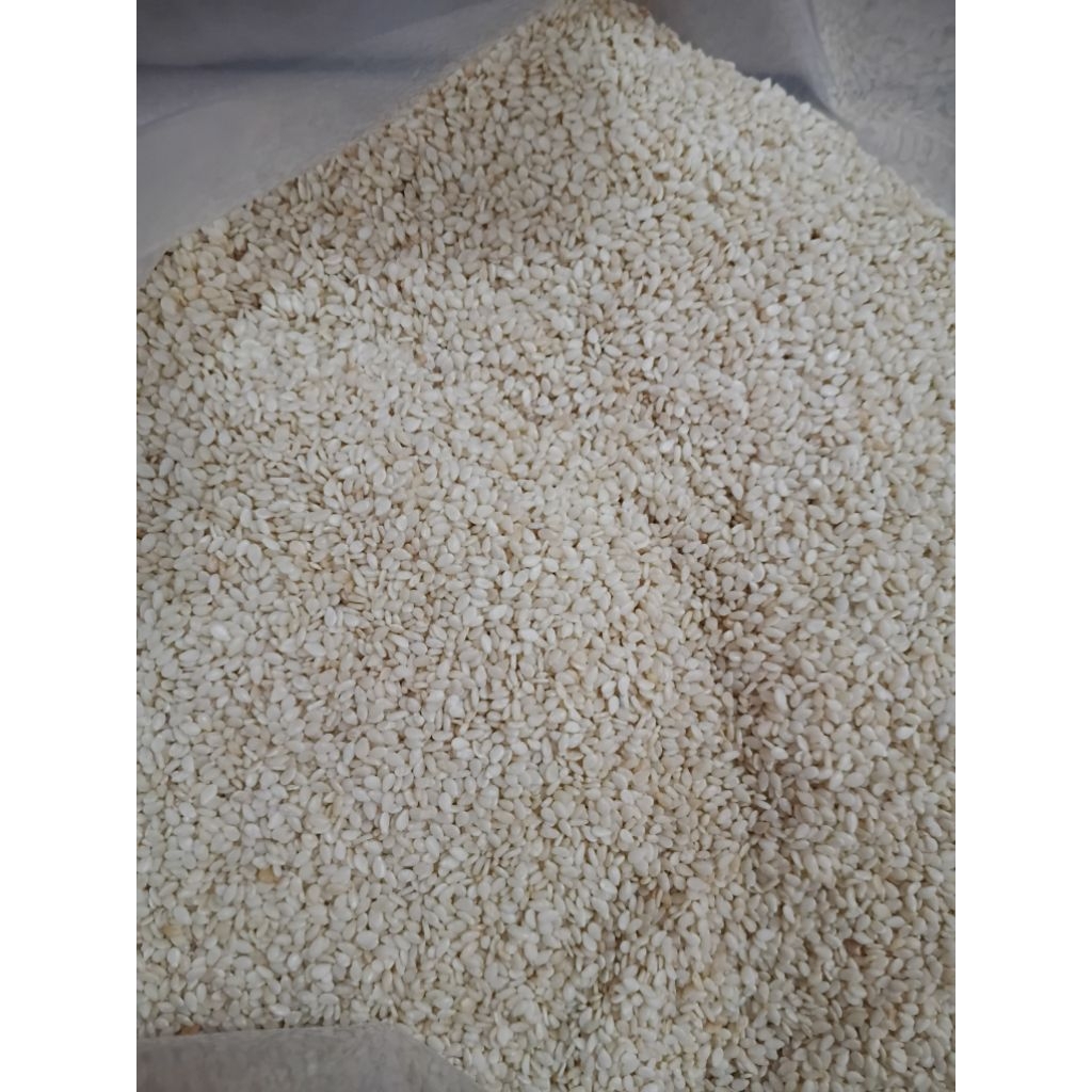 

Wijen Putih Mentah - 5 kg