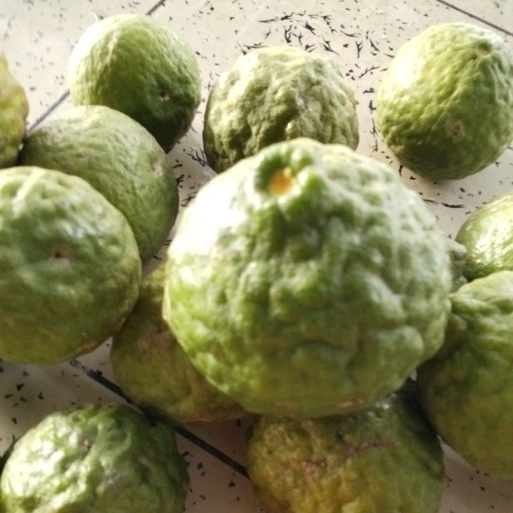 

Jeruk Purut Pilihan Fresh1KG
