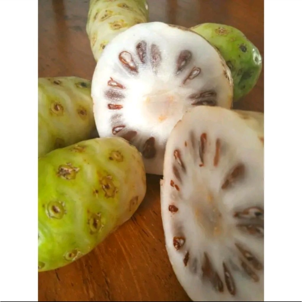 

buah mengkudu segar 500gr