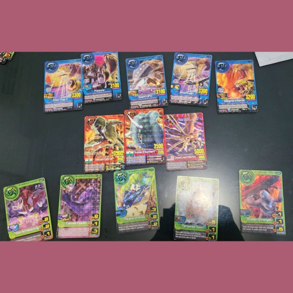 paket animal kaiser evo 1 normal rare
