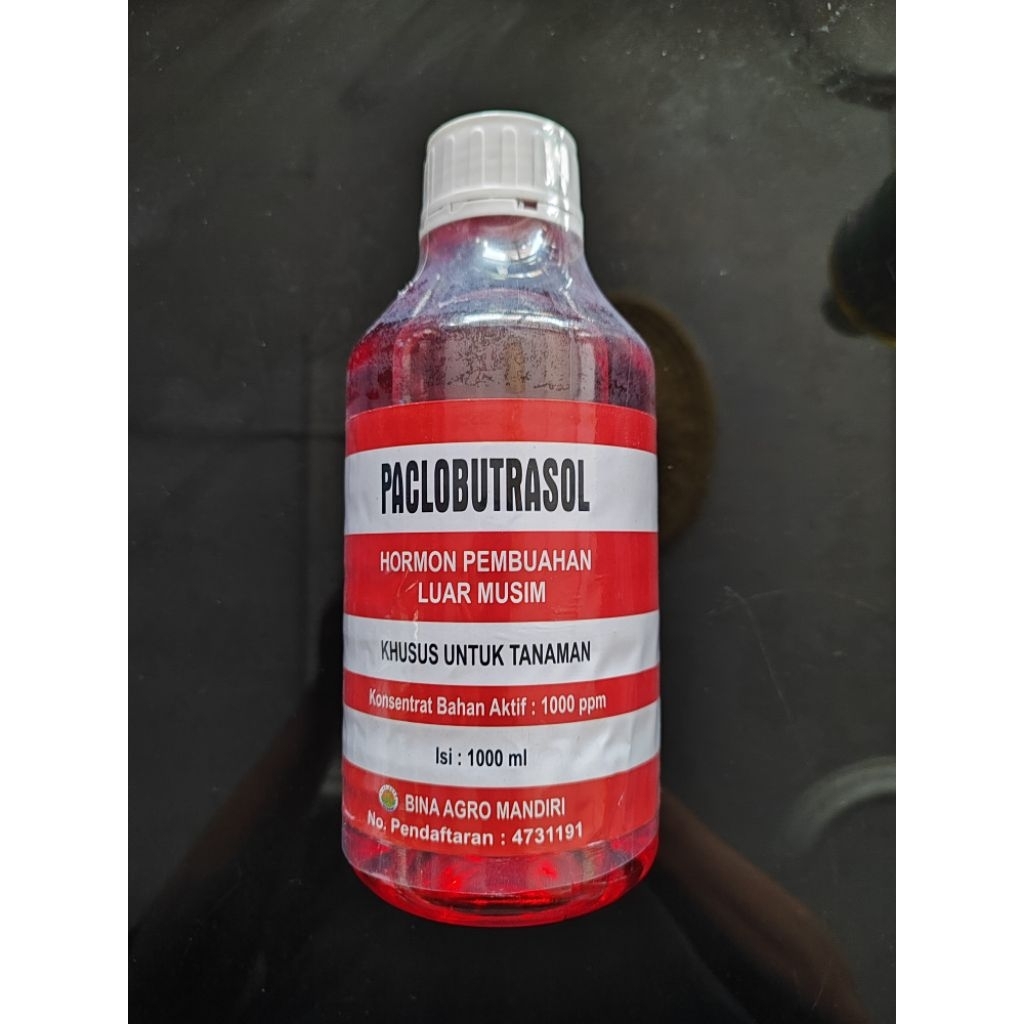 ZPT Hormon Pembuahan luar musim paklobutrazol kemasan 1 liter